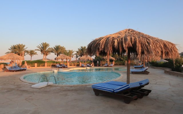 Sharm El Naga Resort and Diving Center