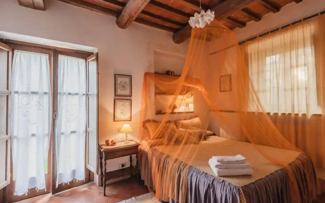 Verdidea - Podere Contignano