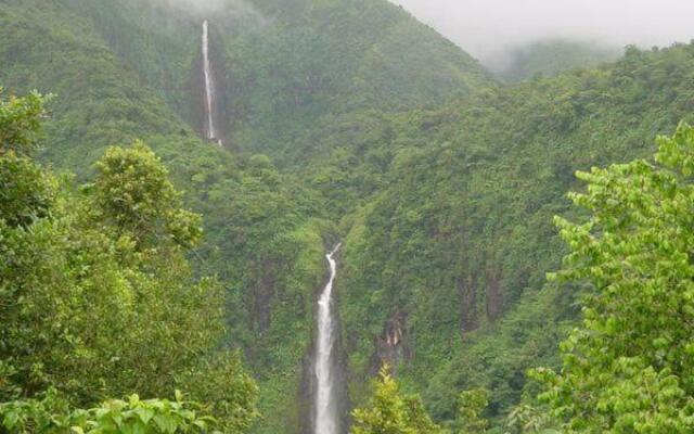 Domaine Fleurs de Bananes (Adults Only)