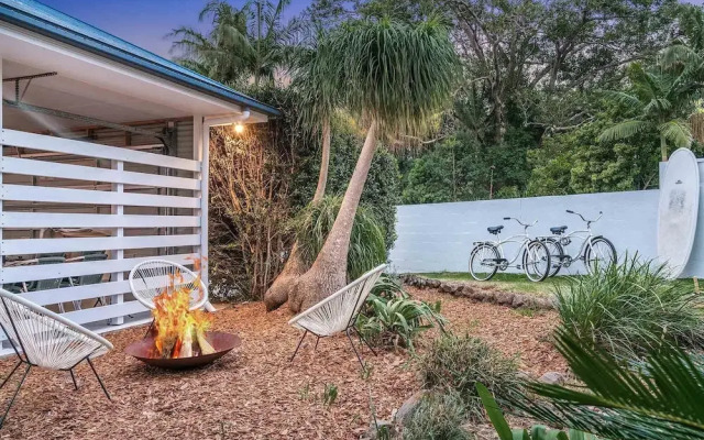 Bangalow Palms