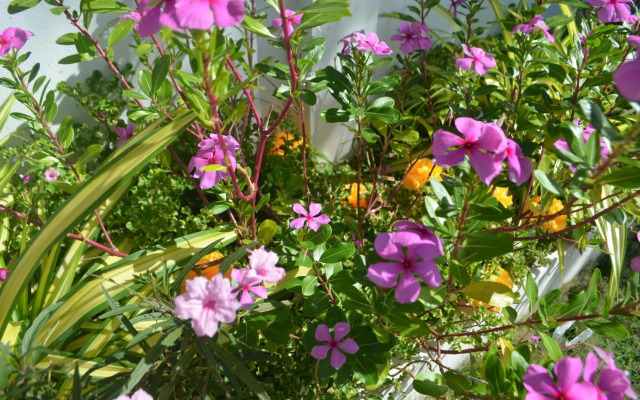 Thosawan Resort ทศวรรณ รีสอร์ท