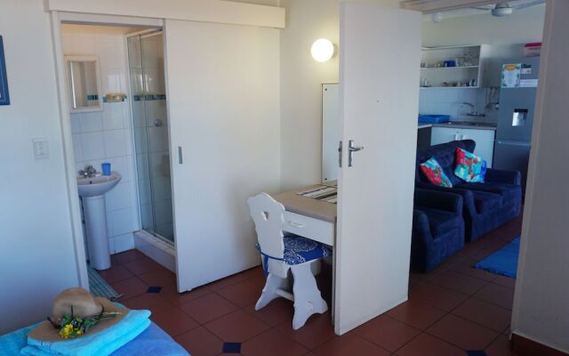 Southern Comfort - Starfish