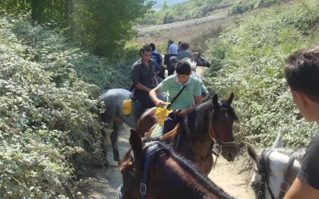 Azienda Agrituristica Masseria I Risi