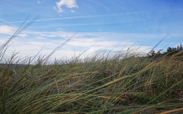 Tranquil Haven Near Beach - By Traum Ferienwohnungen