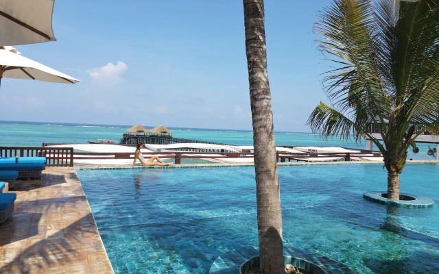 Le Mersenne Zanzibar, Autograph Collection