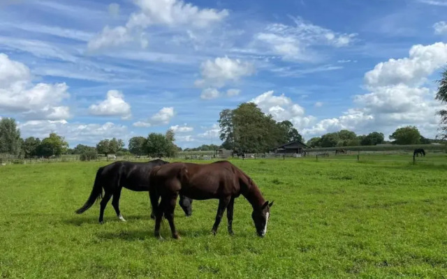 Rustic-chic Holiday Home