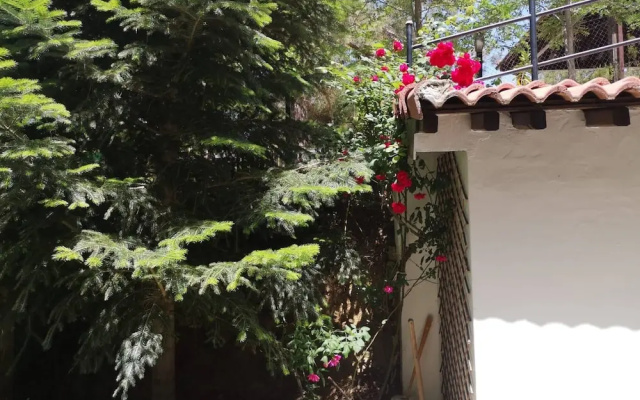 Villa Enriette - Panoramic Mountain Retreat in Pano Platres, Cyprus