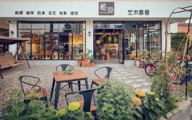 Zhang Jiajie Zhijue Art Hotel