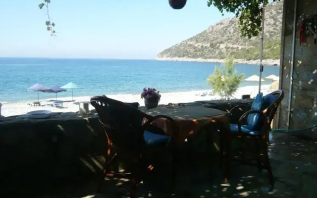 Beach House