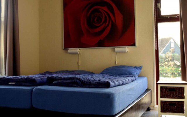 HVZ Orchis Wellness 6p