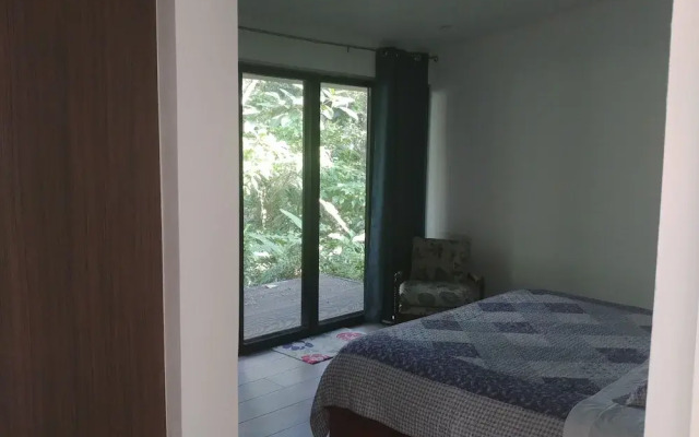 Selva Color Forest & Beach Ecolodge - фото 2