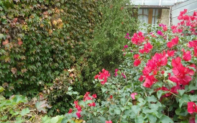 Rugantino Hotel Boutique