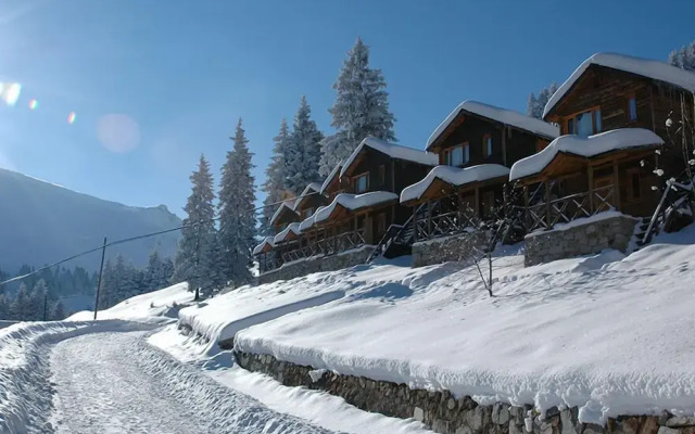 Hamsiköy Zitaş Bungalov & Restoran