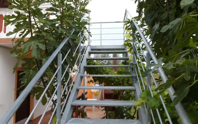 Apartmani Veronika Nin