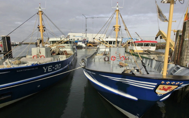 Nice Chalet with Fireplace near Oosterschelde