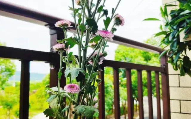 Yuyao Yijia Homestay (Yuyao Siming Lake Scenic Area)
