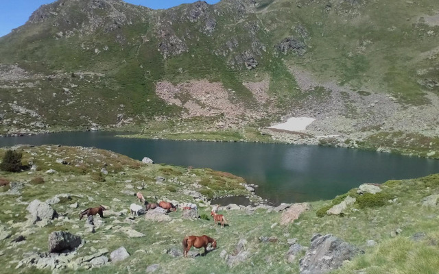 Apartment Gran Sol El Tarter