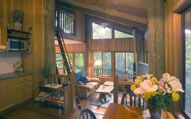 Springbrook Lyrebird Retreat
