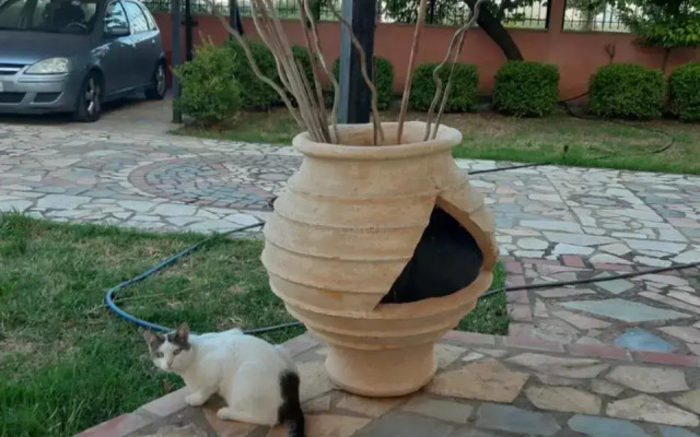 Villa Evi's