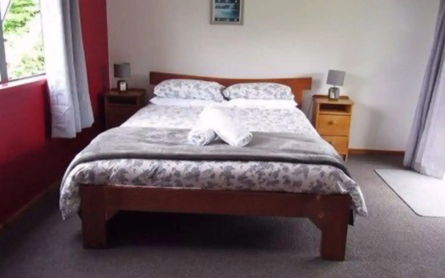 The White Elephant Accommodation - Hostel