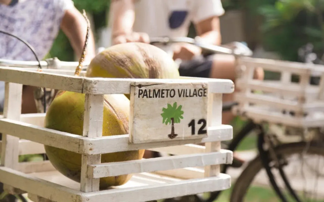 Palmeto Village