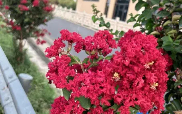 Shanjian Ge Farmstay (Nanbei Lake)