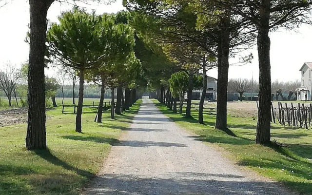 Agriturismo Ai Due Leoni