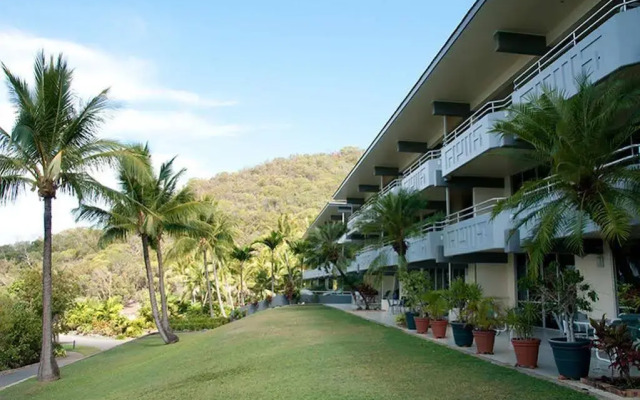 Frangipani 102