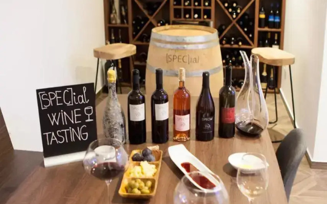 Design & Wine Vila Special Bled
