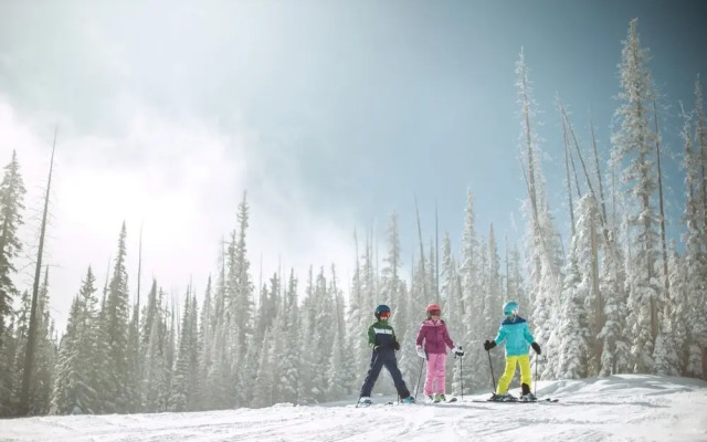 Snowcloud 508SC