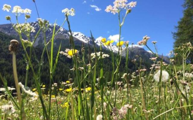 Hotel Allegra Pontresina