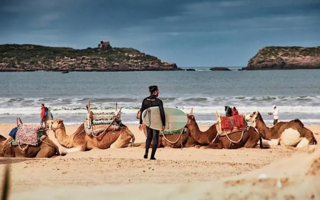 Appart Wafi Essaouira