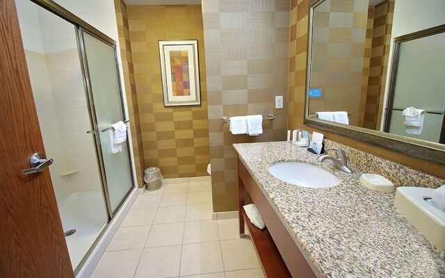 Hampton Inn Detroit/Auburn Hills-North