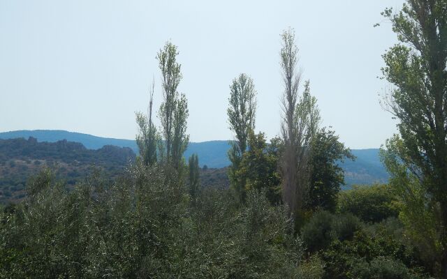 Anaxos Garden