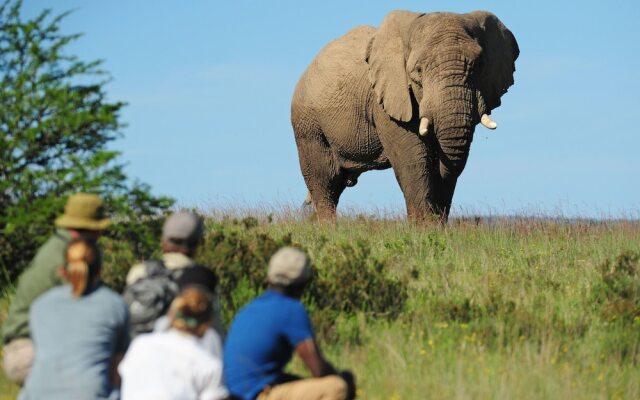 Shamwari Sarili Lodge