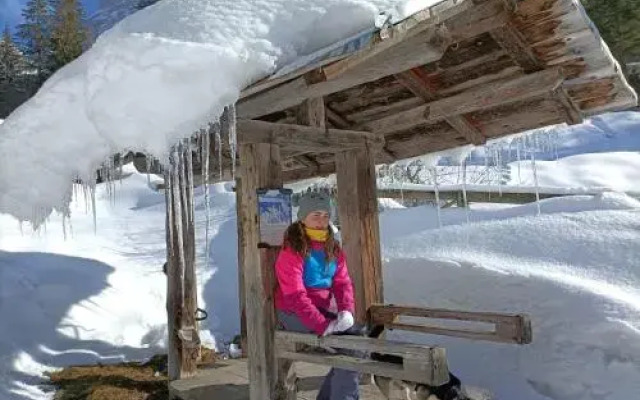 Hotel Lorenzini Ski