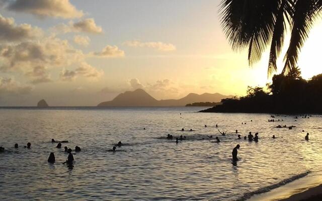 Appartement Hibiscus Martinique