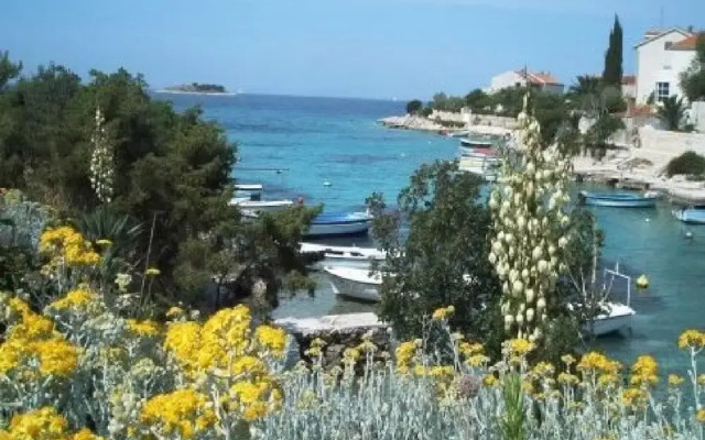 Apartment Pavica