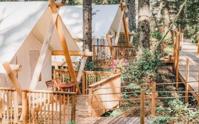 Haida Gwaii Glamping Co.