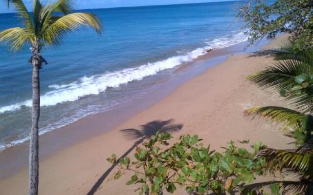 Coconut Palms Inn On The Beach