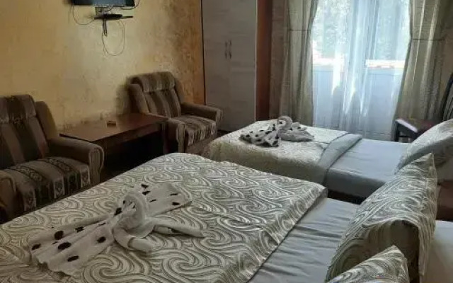 Tokaplus