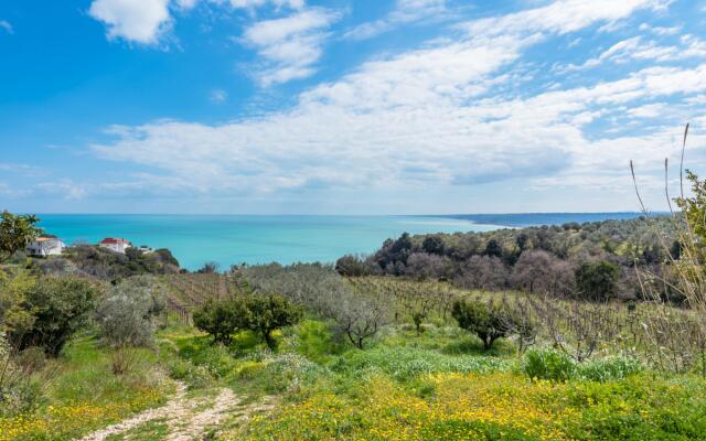 La Conchiglia dei Sogni