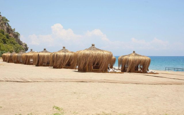 Juju Premier Palace 