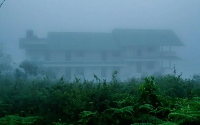 Whispering Pinewood