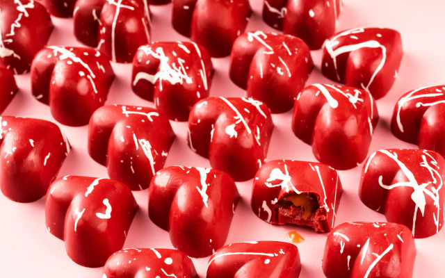 Radisson Blu Plaza Delhi Airport