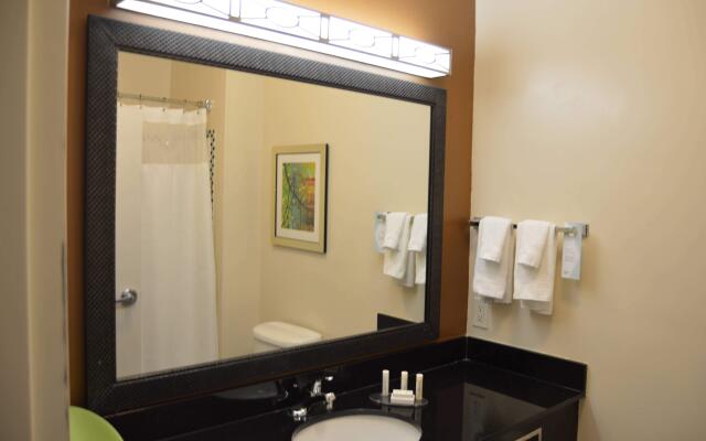 Fairfield Inn & Suites by Marriott Channelview