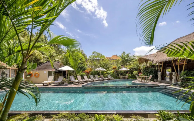 Kailash Suite by GenuineHost