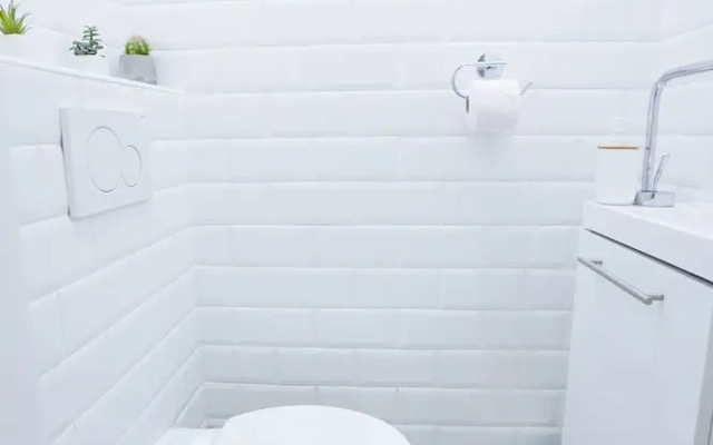 Oasis Apartments At Paulay Ede Street Ii