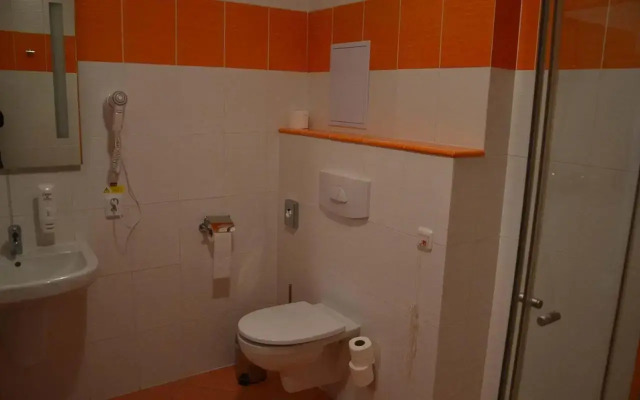 Lipno-Apartman Frymburk D110