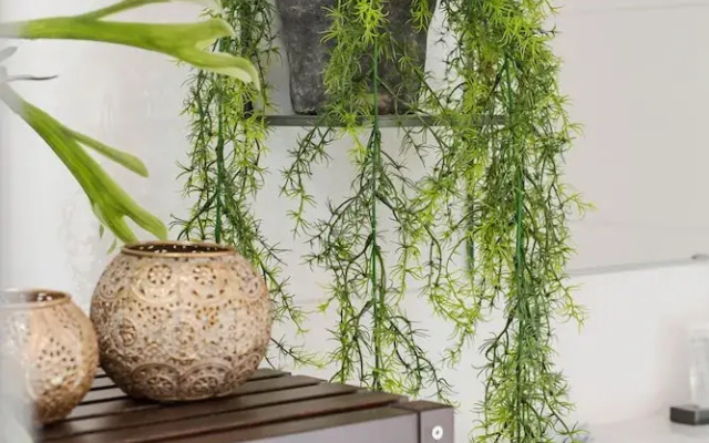 Canal Garden Apartment 11